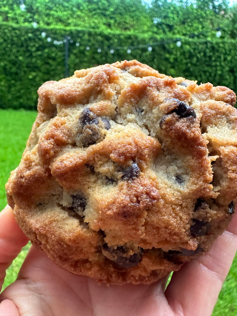 Sugar Free Chocolate Chip