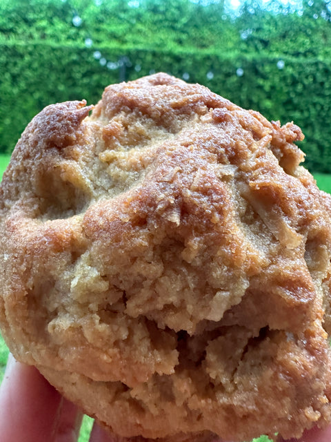 Sugar Free Coconut